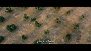 Backdrop to the movie "The Life Ahead" #266759