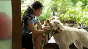 Backdrop to the movie "Gohan" #796479