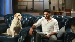 Backdrop to the movie "Comali" #805637