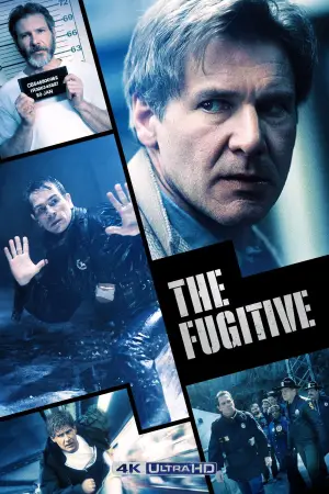 Poster to the movie "The Fugitive" #773248