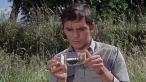 Backdrop to the movie "The Collector" #427760