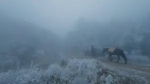 Backdrop to the movie "Crossing Borders" #465015