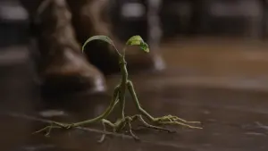 Backdrop to the movie "Fantastic Beasts: The Crimes of Grindelwald" #473158