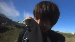 Backdrop to the movie "All About Lily Chou-Chou" #788228