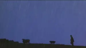 Backdrop to the movie "Babe" #719873