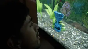 Backdrop to the movie "Notes from a Fish" #791596