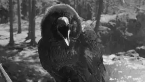 Backdrop to the movie "The Virgin Spring" #753465