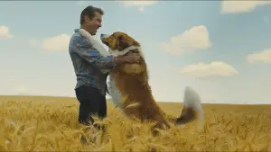 Backdrop to the movie "A Dog