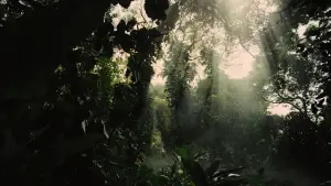 Backdrop to the movie "The Hunger Games: Catching Fire" #625086