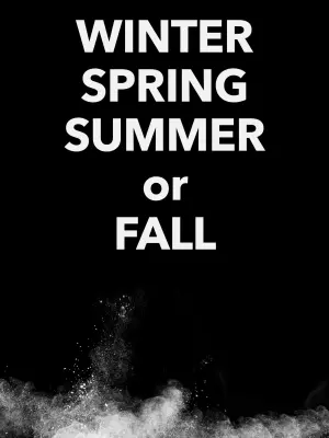 Poster to the movie "Winter Spring Summer or Fall" #415958