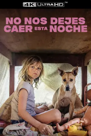 Poster to the movie "Don