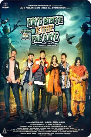 Poster to the movie "Haye Bibiye Kithe Fas Gaye" #942736