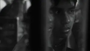 Backdrop to the movie "Shady of Pink" #200603