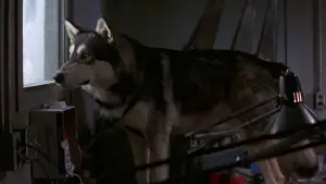 Backdrop to the movie "The Thing" #599851