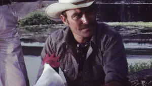 Backdrop to the movie "Supercock" #694181