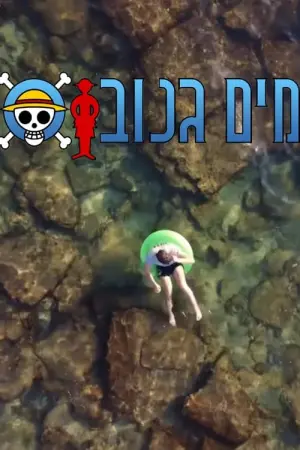 Poster to the movie "Stolen Water" #312207