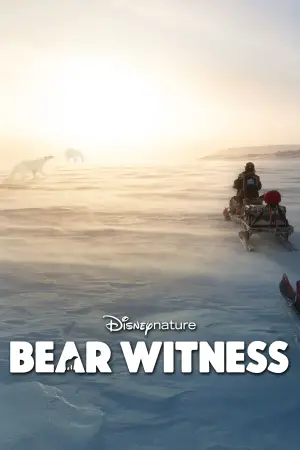 Poster to the movie "Bear Witness" #725179