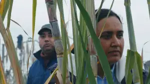 Backdrop to the movie "Good Valley Stories" #805845