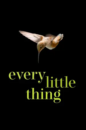Poster to the movie "Every Little Thing" #791369