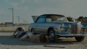 Backdrop to the movie "The Hangover" #571934