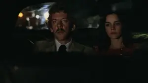 Backdrop to the movie "Invasion of the Body Snatchers" #922649