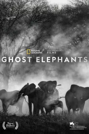 Poster to the movie "Ghost Elephants" #670883