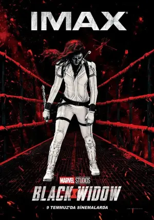 Poster to the movie "Black Widow" #23521