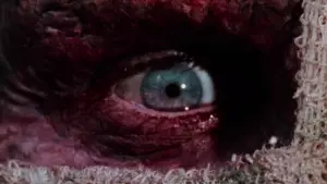 Backdrop to the movie "Darkman" #672377