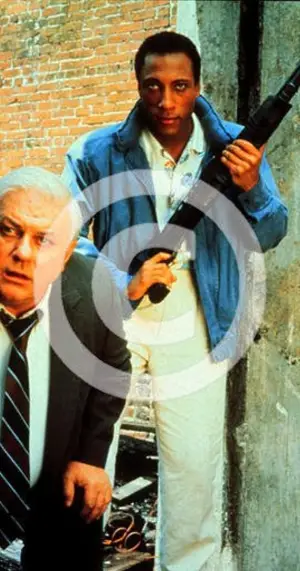 Movie poster "Case Closed"