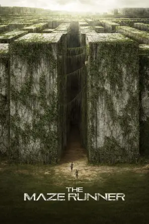 Poster to the movie "The Maze Runner" #551526