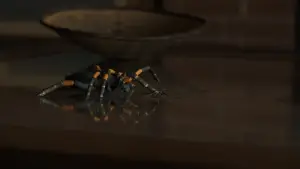 Backdrop to the movie "Us" #656848