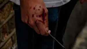 Backdrop to the movie "Magenta House" #553950