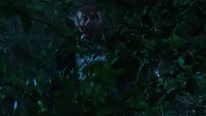 Backdrop to the movie "Bloodmoon" #666863