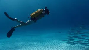 Backdrop to the movie "The Odyssey" #266910