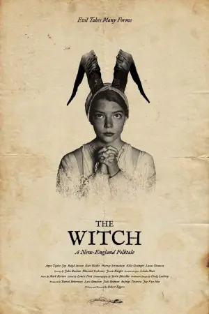 Poster to the movie "The Witch" #66202