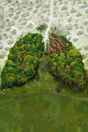 Poster to the movie "David Attenborough: A Life on Our Planet" #812005