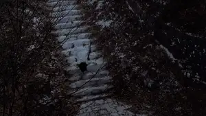 Backdrop to the movie "Wishing Stairs" #746621