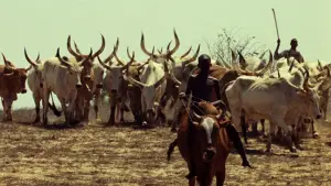 Backdrop to the movie "Touki Bouki" #724559