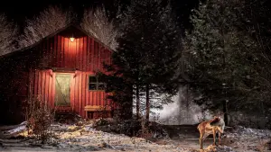 Backdrop to the movie "Prancer: A Christmas Tale" #429117