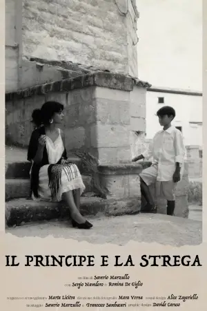 Poster to the movie "The Prince and the Witch" #881644
