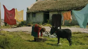 Backdrop to the movie "The Banshees of Inisherin" #693706