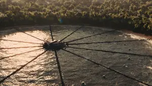 Backdrop to the movie "The Hunger Games: Catching Fire" #625090