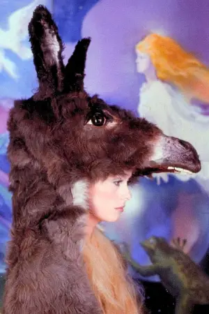 Poster to the movie "Donkey Skin" #812130