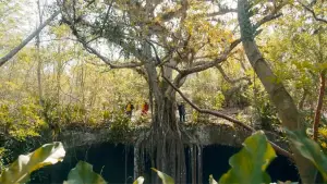 Backdrop to the movie "Underland" #769108