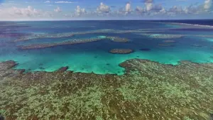 Backdrop to the movie "Home" #435439