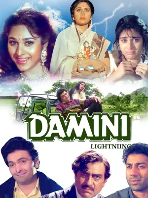 Poster to the movie "Damini" #671004