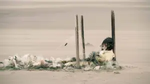 Backdrop to the movie "The Curse" #774978