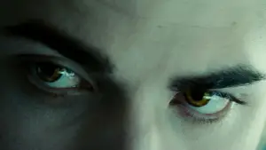 Backdrop to the movie "Twilight" #748359