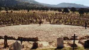 Backdrop to the movie "The Good, the Bad and the Ugly" #582099