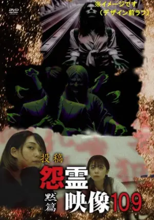 Poster to the movie "Posted Grudge Spirit Footage Vol.109: Silent Chapter" #473325